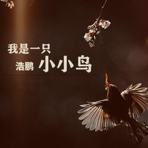 我是一只小小鸟 (Live)