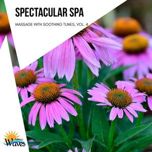 Spectacular Spa - Massage with Soothing Tunes, Vol. 4