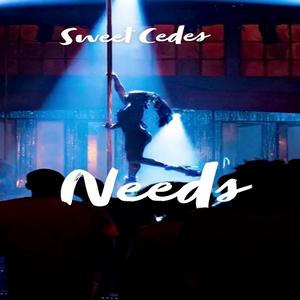 Needs (Explicit)