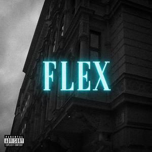FLEX (feat. aryx) [Explicit]