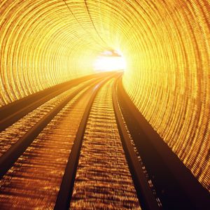 A Welcome Distraction