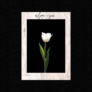 adore you (feat. zxch.) (Explicit)