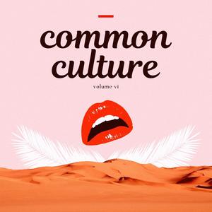 Common Culture, Vol. VI