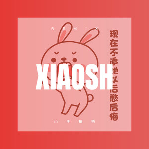 仙缘尘梦 (DJ版)