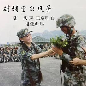 谢佳卿 - 硝烟里的风景