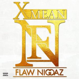 Flaw Niggaz (Explicit)