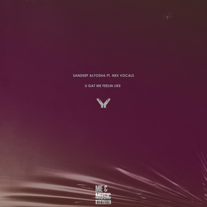 U Gat Me Feelin Like (Groovy Mix)