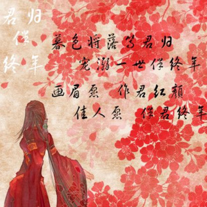 君归伴终年