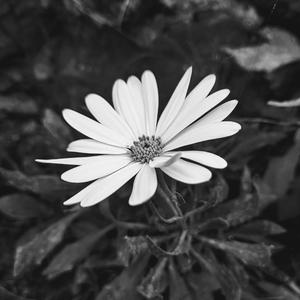 Akter (Boombap) (Explicit)