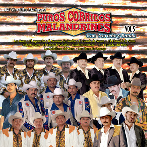 Puros Corridos Malandrines Vol. 5