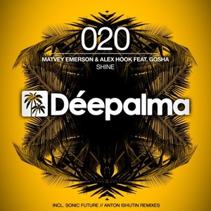 Shine (Anton Ishutin Remix)
