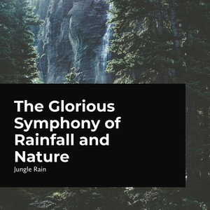 The Glorious Symphony of Rainfall and Nature