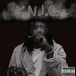 Y.N.I.C. (Explicit)