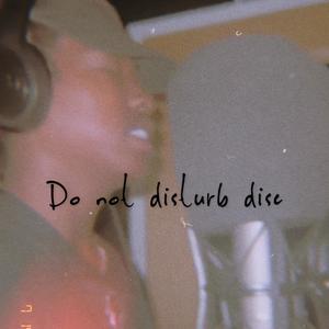 Do Not Disturb Disc (Explicit)