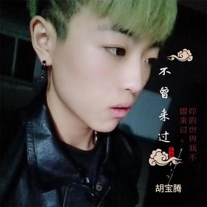 不曾来过