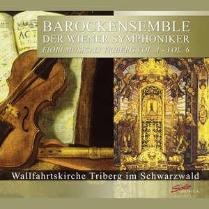 Viola Concerto in G Major, TWV 51:G9 - Viola Concerto in G Major, TWV 51:G9: II. Allegro
