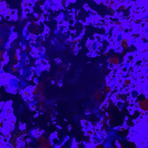 WISHINONMYFALL (Explicit)