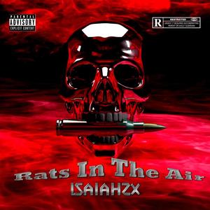 Rats In The Air (Explicit)