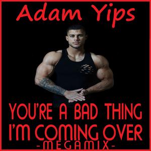You're A Bad Thing, I'm Coming Over (Megamix)
