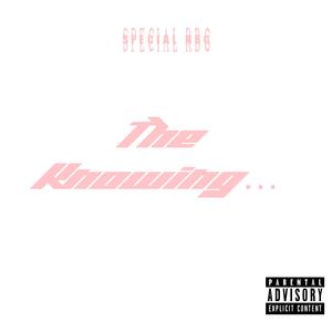 Wouldn't Know Why (feat. Mr Morally) (Explicit)