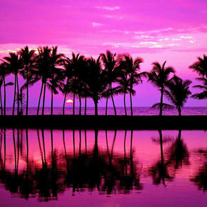 Funky Beach (Explicit)