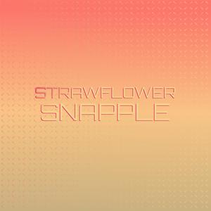 Strawflower Snapple