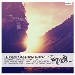 PERPLEXITY MUSIC SAMPLER #001