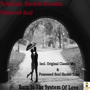 Born In A System of Love (Possessed Soul Remix)