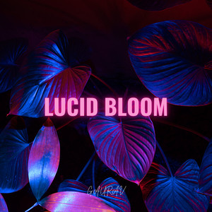 Lucid Bloom