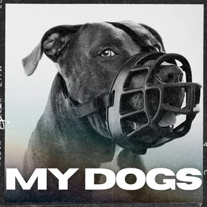 MY DOGS (Explicit)