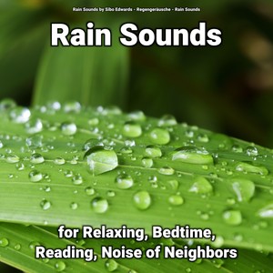 Rain Sounds for Relaxing, Bedtime, Reading, Noise of Neighbors