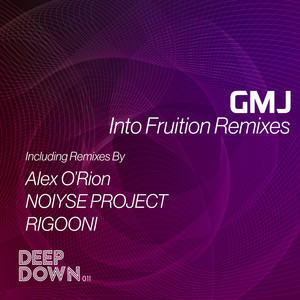 Into Fruition (NOIYSE PROJECT Remix)