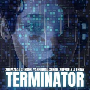 Terminator (feat. Inkosi Yabelungu, Shego, Exkay & SuperFly) (Summer Vibes)
