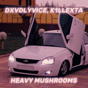 HEAVY MUSHROOMS