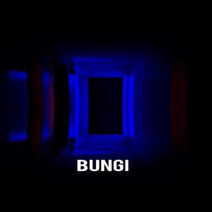 Fentanyl (feat. B0b) (Explicit)