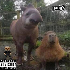 gang? (Explicit)