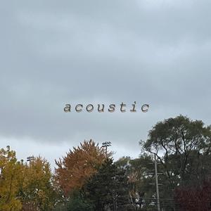 Acoustic (Explicit)