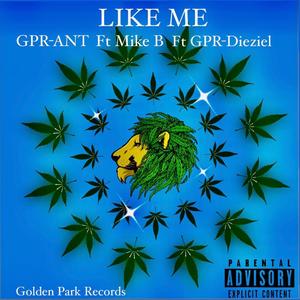 Like Me (Explicit)