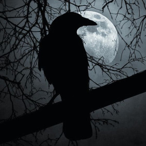 SIĘ DOGADAĆ (Explicit)