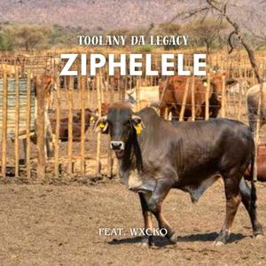 Ziphelele (feat. Wxcko)