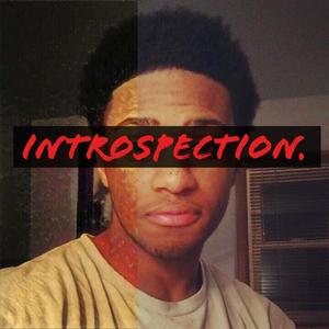 INTROSPECTION (Explicit)