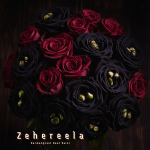 Zehereela