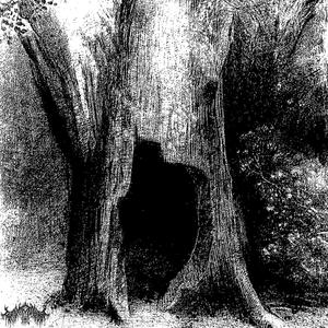 Origination (Explicit)