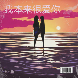 我本来很爱你 (伴奏)