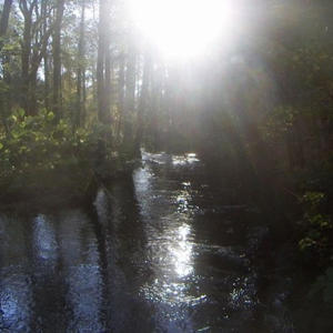 rushin (feat. tiki & shefwtj1) (Explicit)