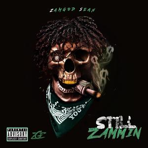 Still Zammin (Explicit)