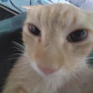 rrrreally fast propane (Explicit)