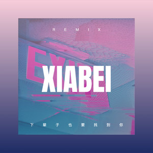 情定终身 (Remix)