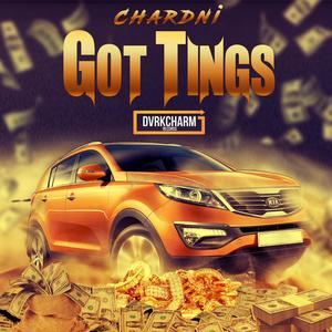 Got Tings (Radio Edit) [Explicit]