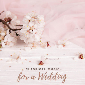 Classical Music for a Wedding - Married Life (Arr. for Piano)